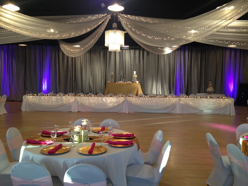 Head Table Fabric & Lights  - Events & Themes - Elegant Wedding ideas in Minnesota